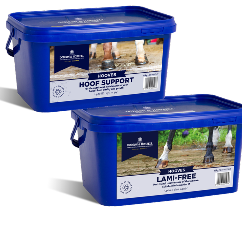 Dodson & Horrell hoof support