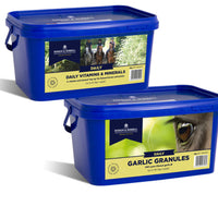 Buy Dodson & Horrell Daily Supplements Now – Enhance Your Horse's Health