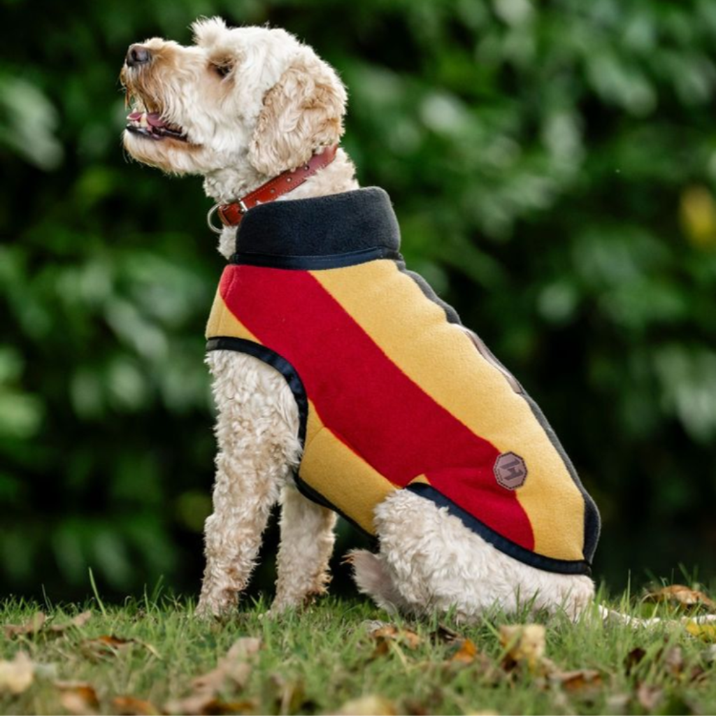 Horseware Dog