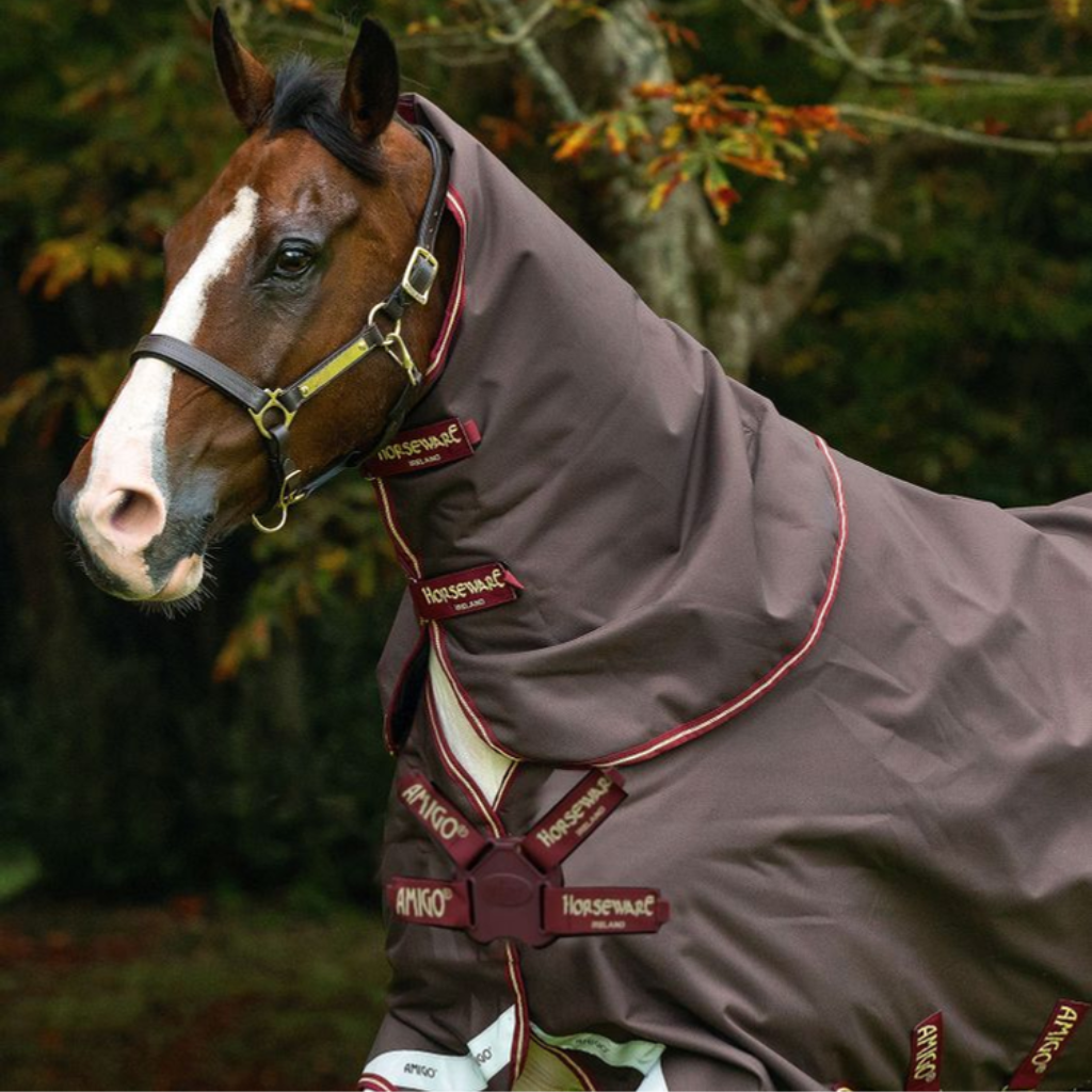 Horseware Hoods