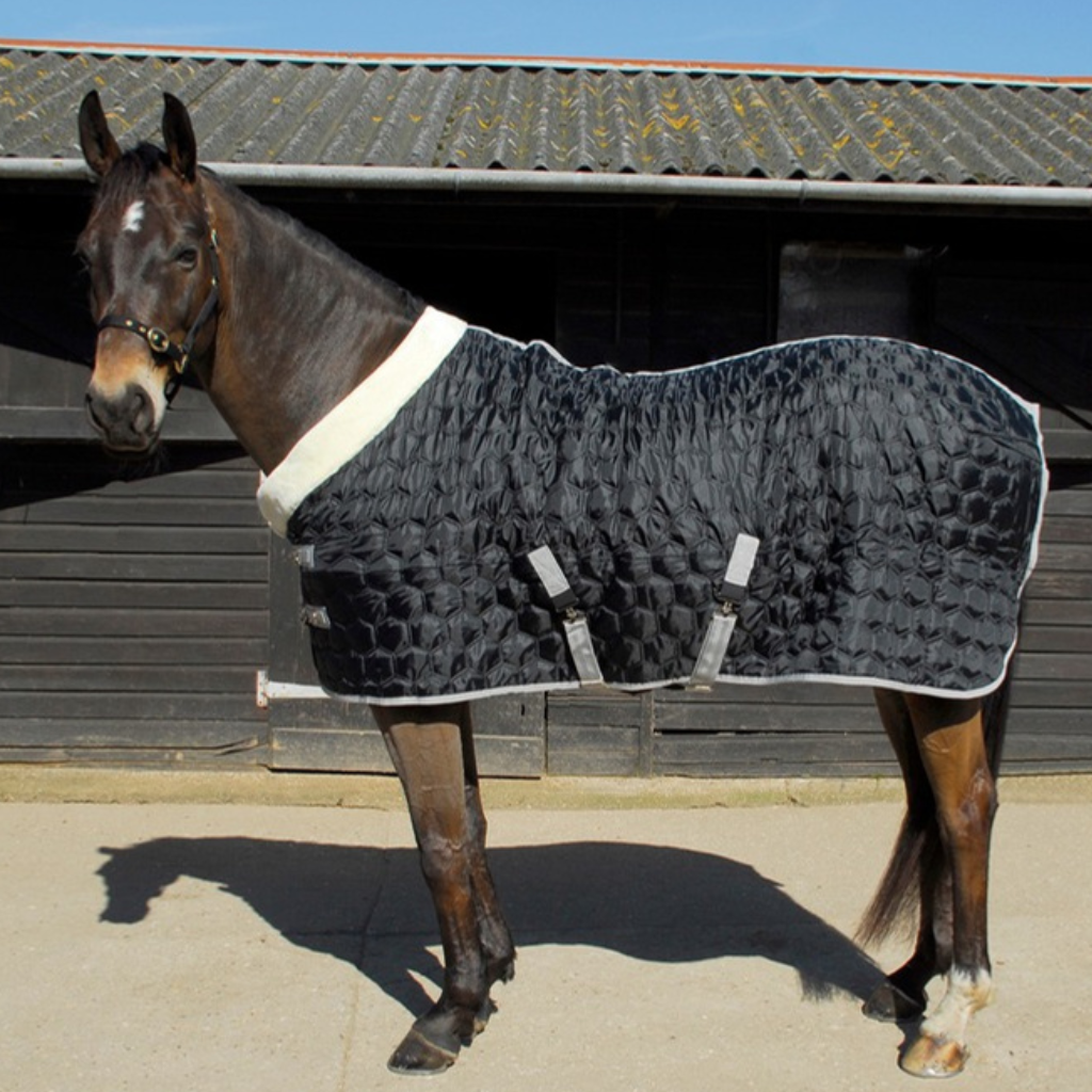Rhinegold Rugs