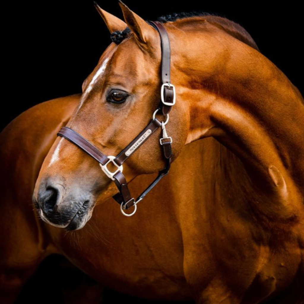 Horseware Headcollars