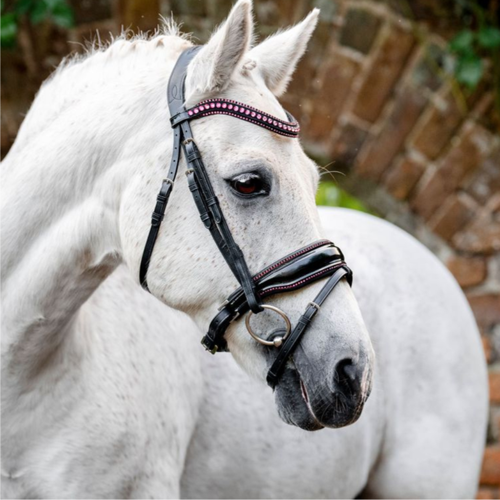Horseware Bridles