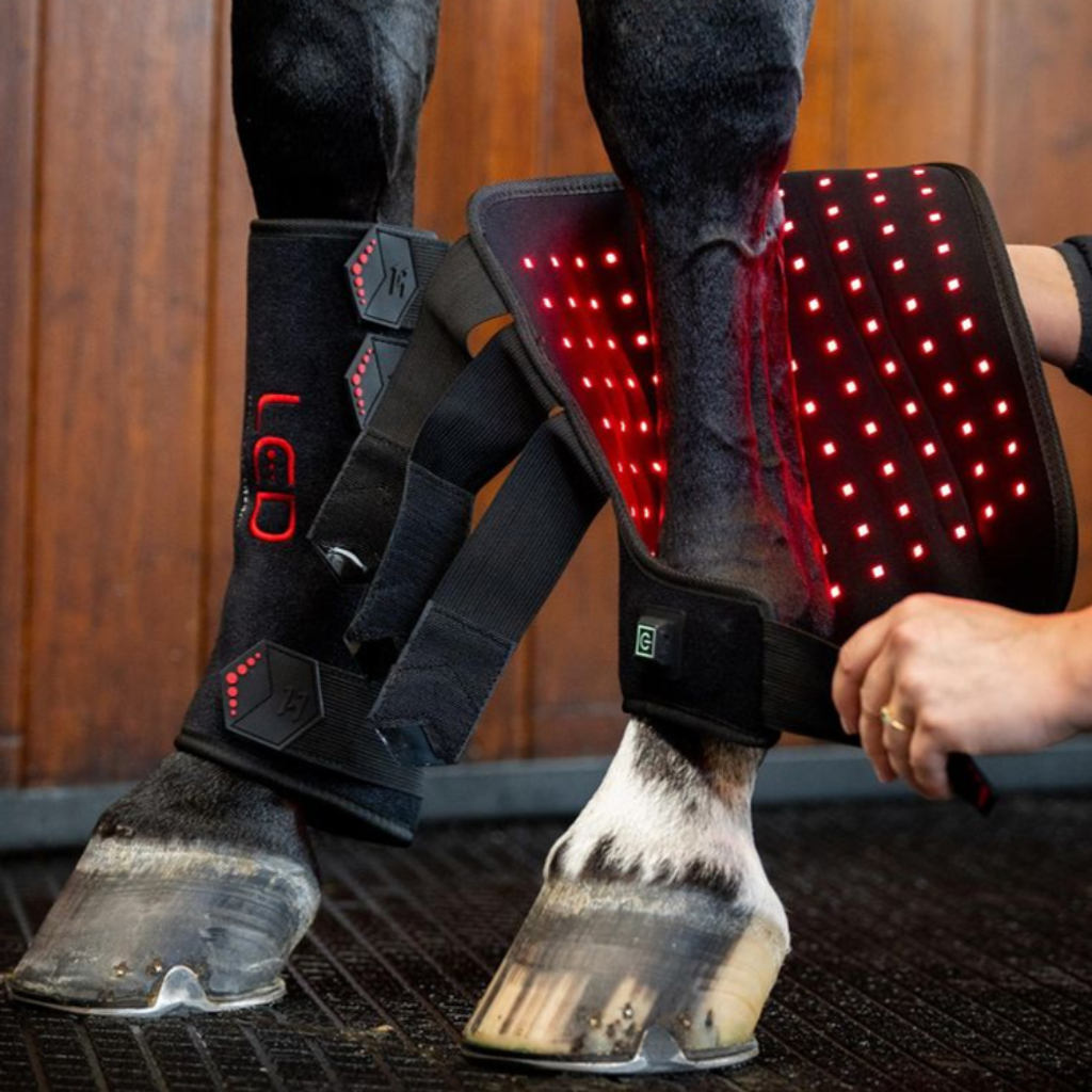 Horseware Therapy