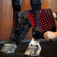 Horseware Therapy