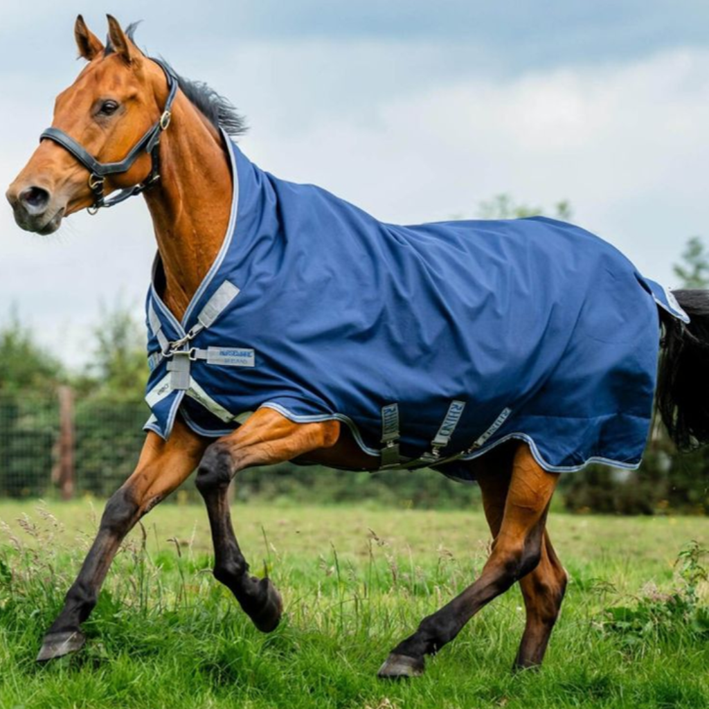 Horseware Rugs