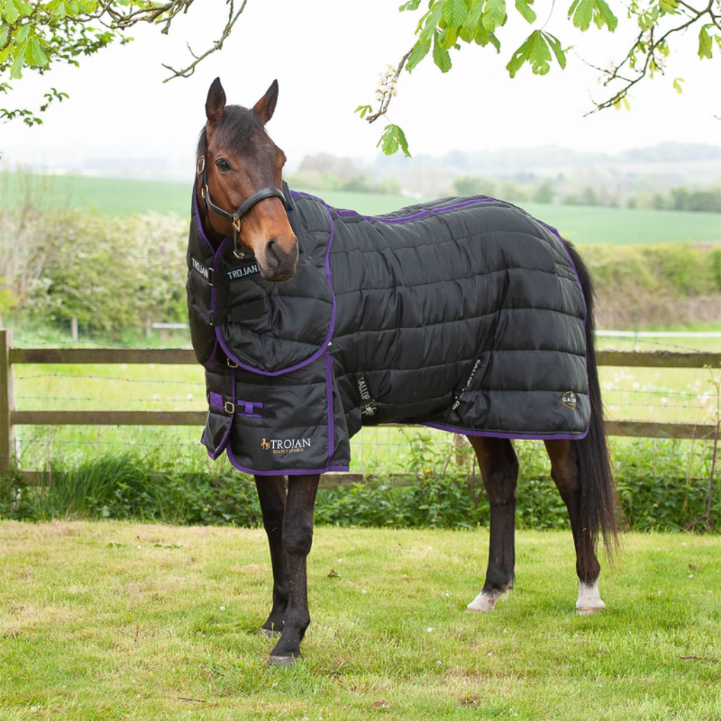 Mediumweight horse stable rugs
