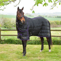Mediumweight Stable Rugs