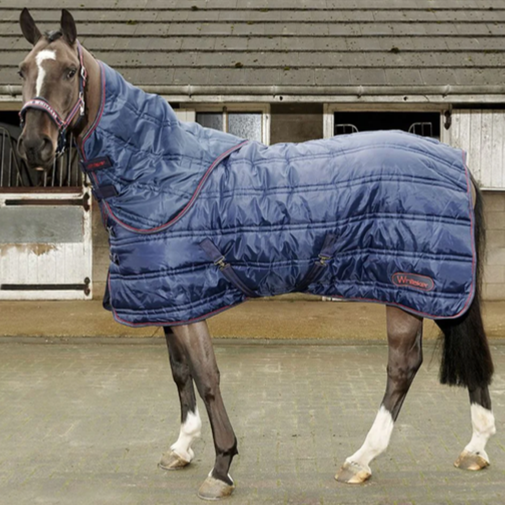 Horse stable combo rugs
