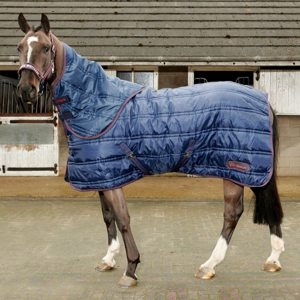 John Whitaker Stable Rugs