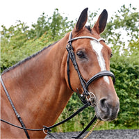 John Whitaker Bridles & Reins