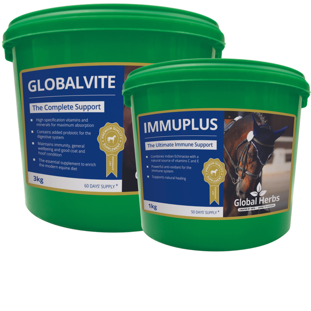 Global Herbs immune support supplements