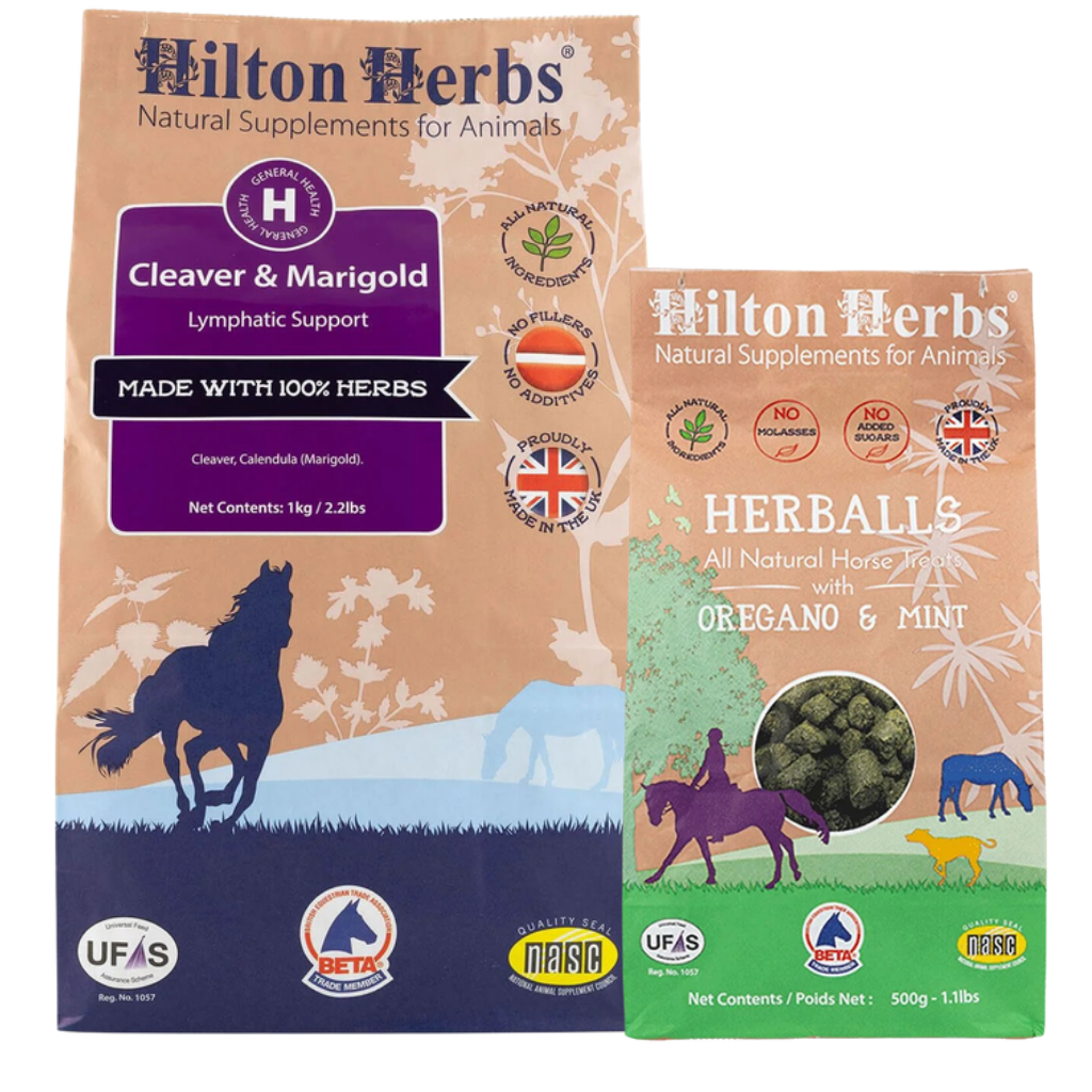 Hilton Herbs everyday supplements