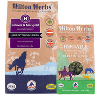 Buy Hilton Herbs Supplements for Horse Health & Vitality Now!