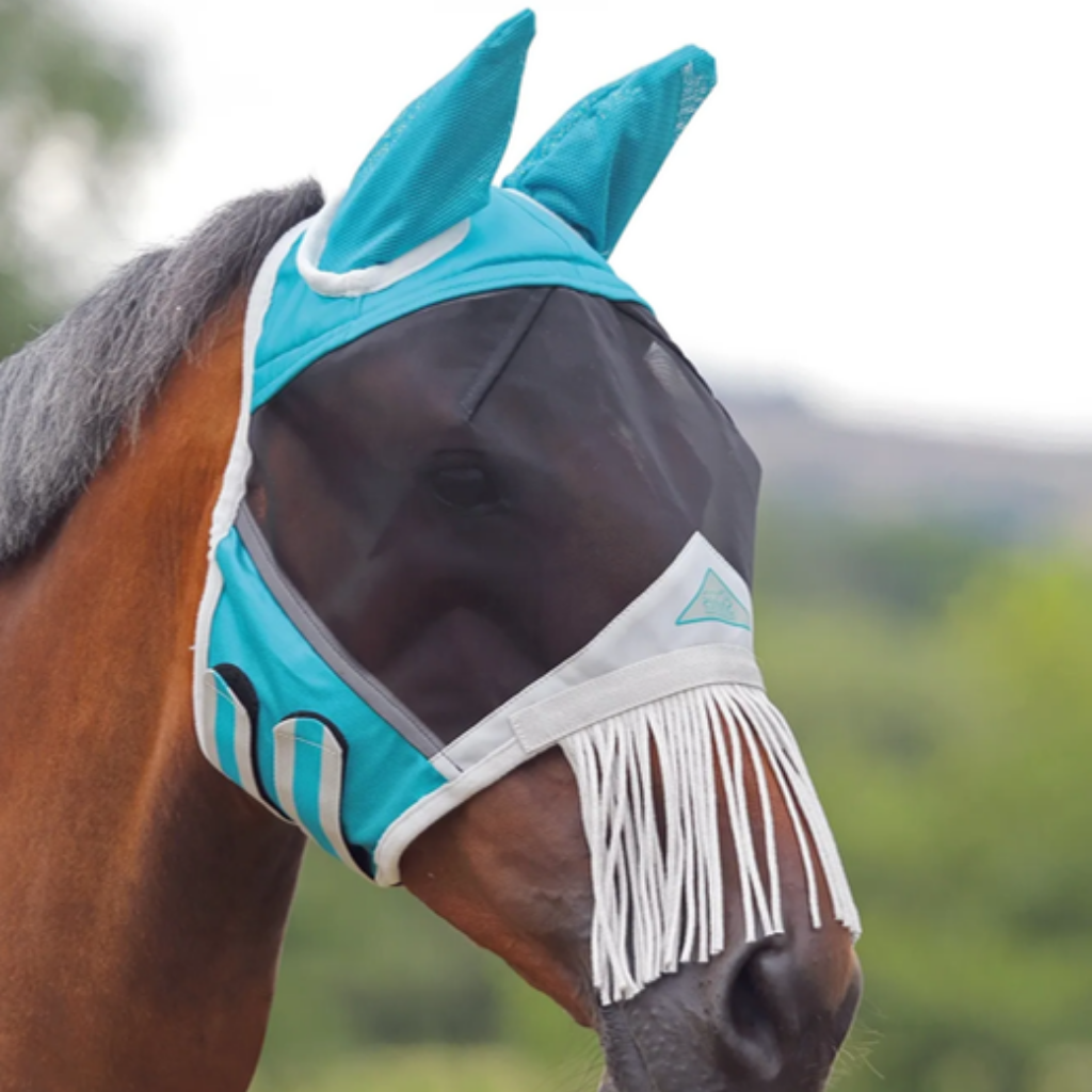 Fly masks fringes