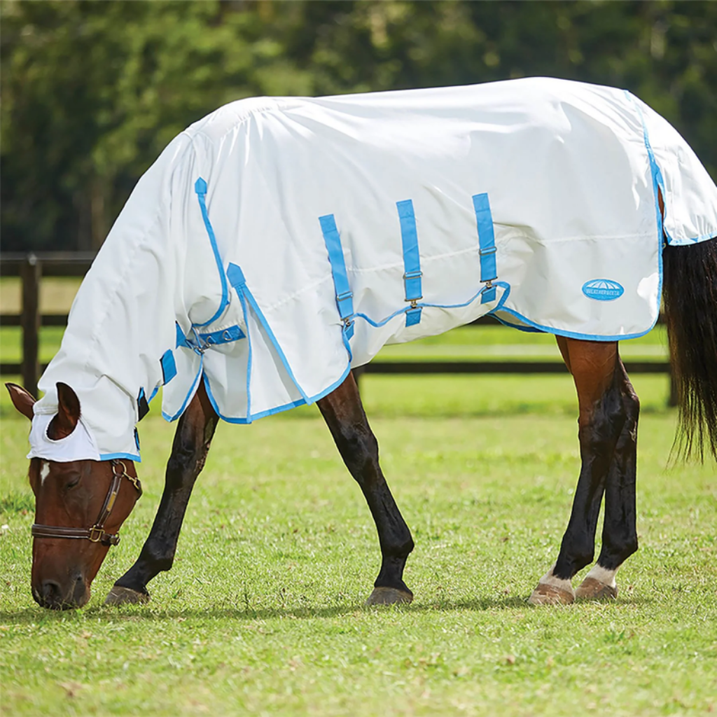 Sweet itch protection