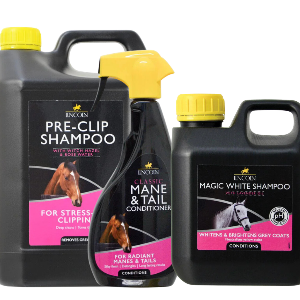 Lincoln coat care