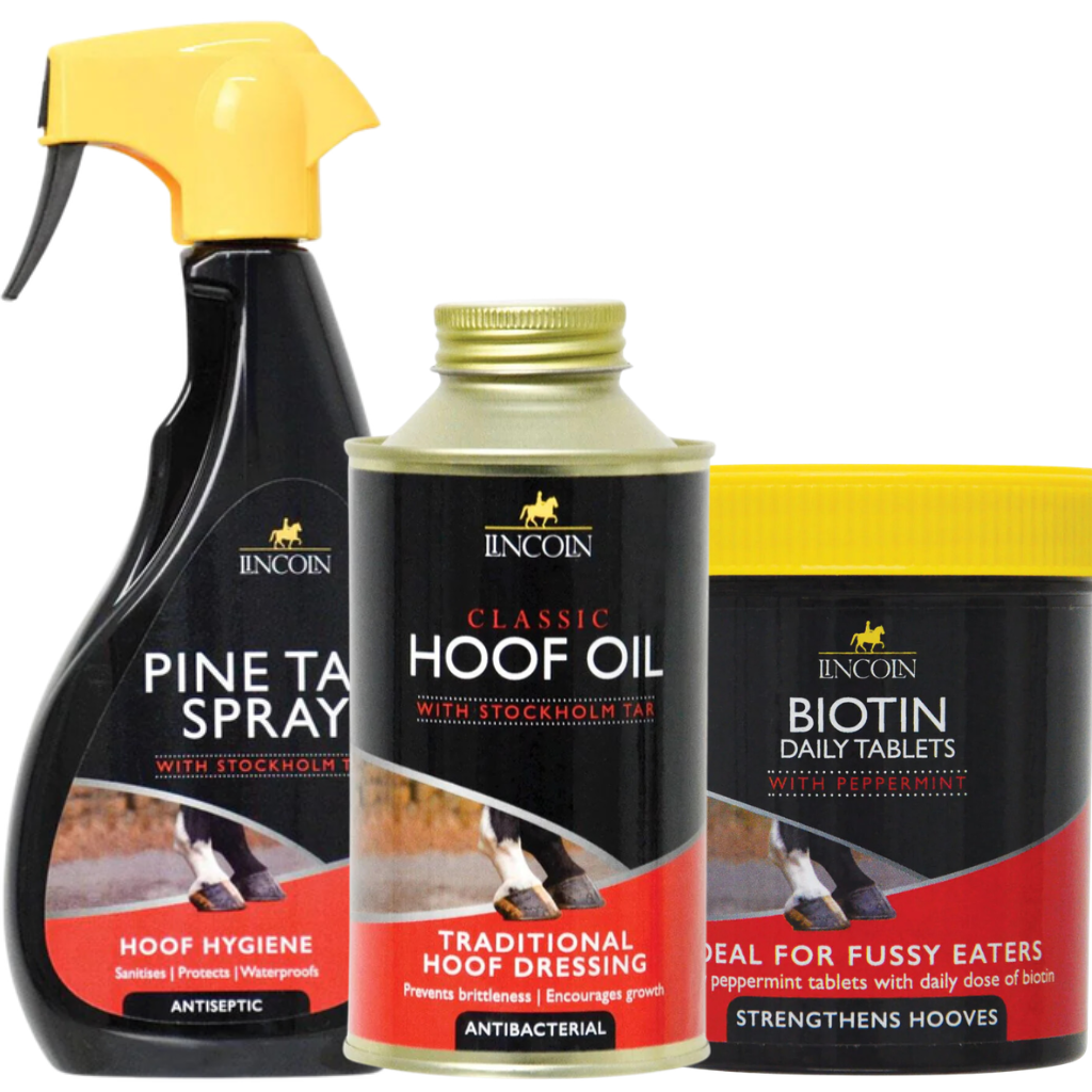 Lincoln hoof care