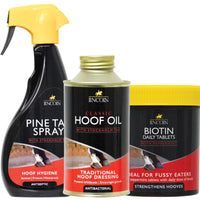 Lincoln Horse Hoof Care