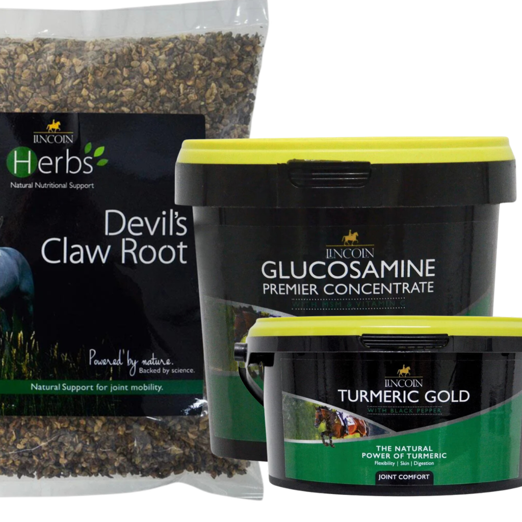 Lincoln Joint Supplements