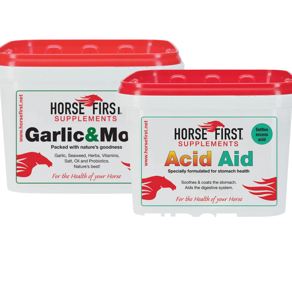 Horse First Digestion Supplements