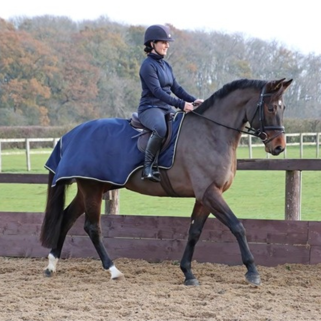 HY Equestrian gear for the horse