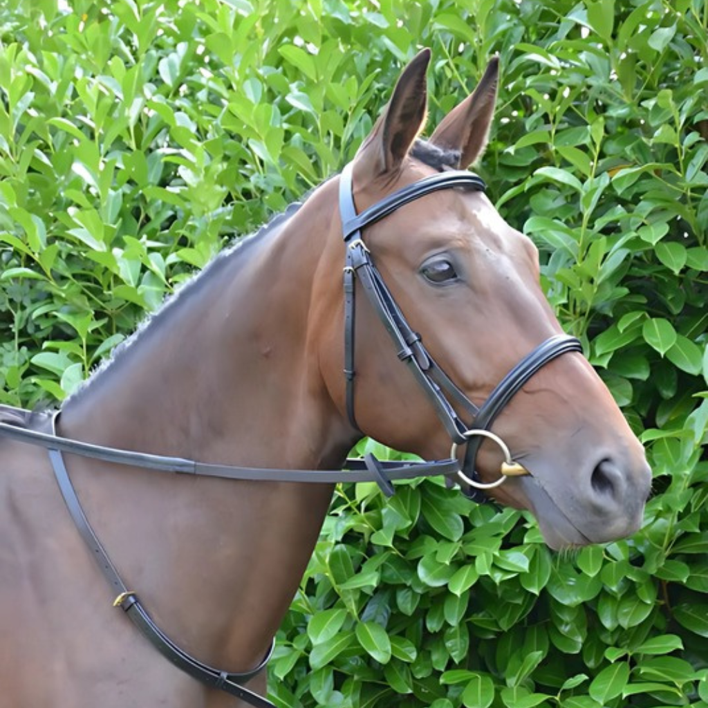 HY Equestrian saddlery