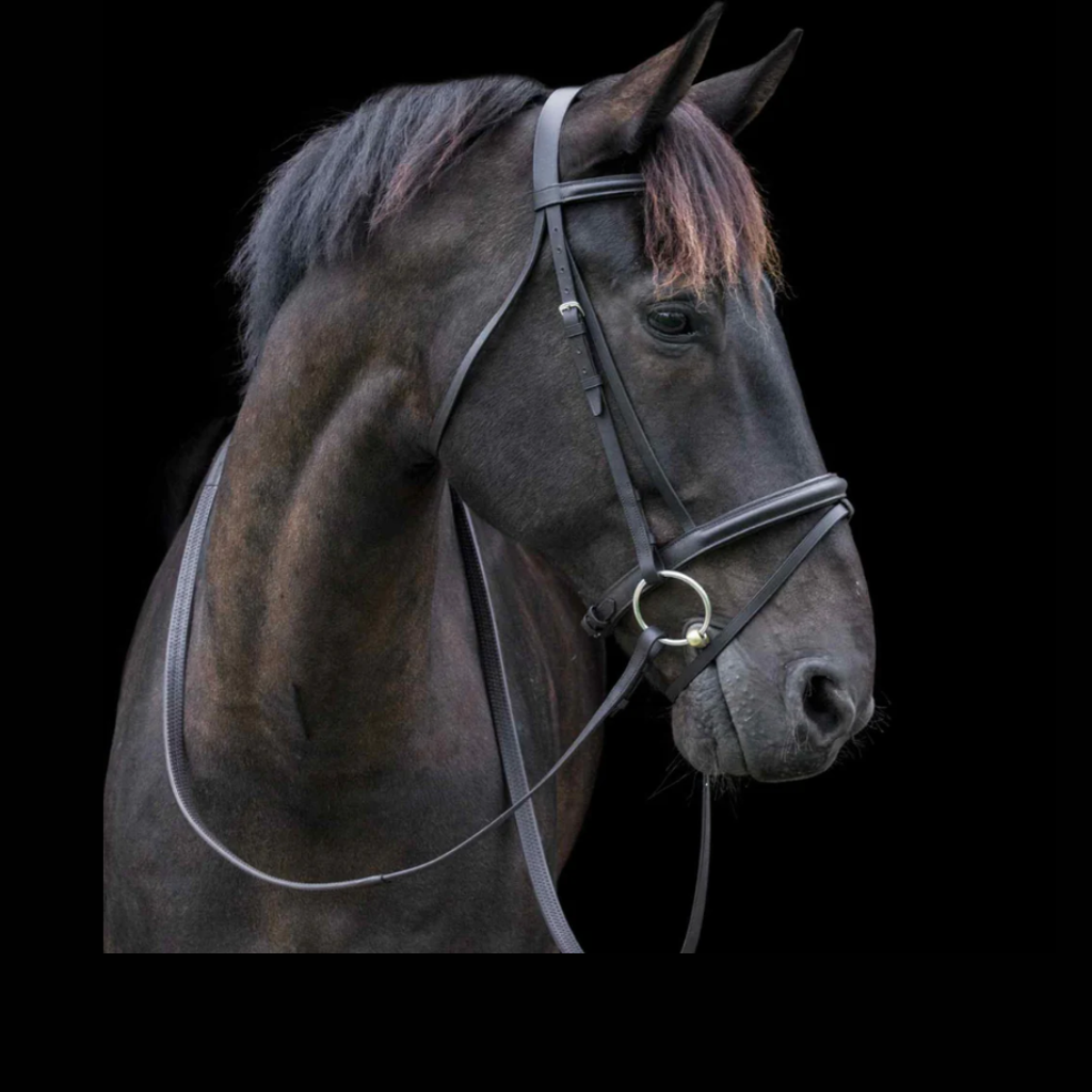 Cameo Equine Bridlework