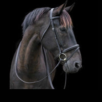Cameo Equine Bridlework