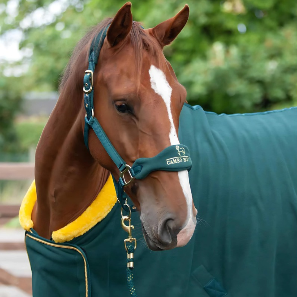 Cameo Equine Headcollars & Leadropes