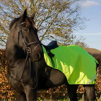 Cameo Horsewear