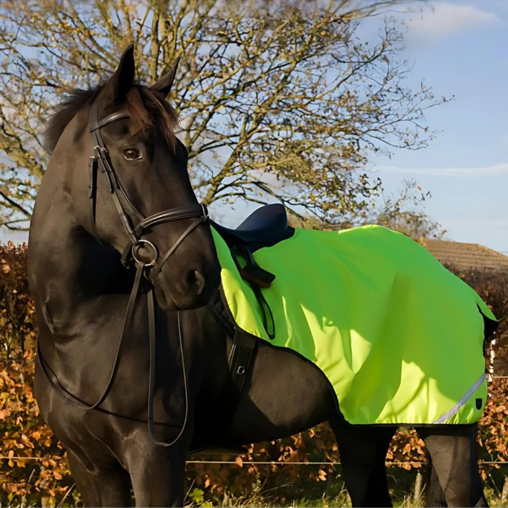 Cameo Equine Horsewear