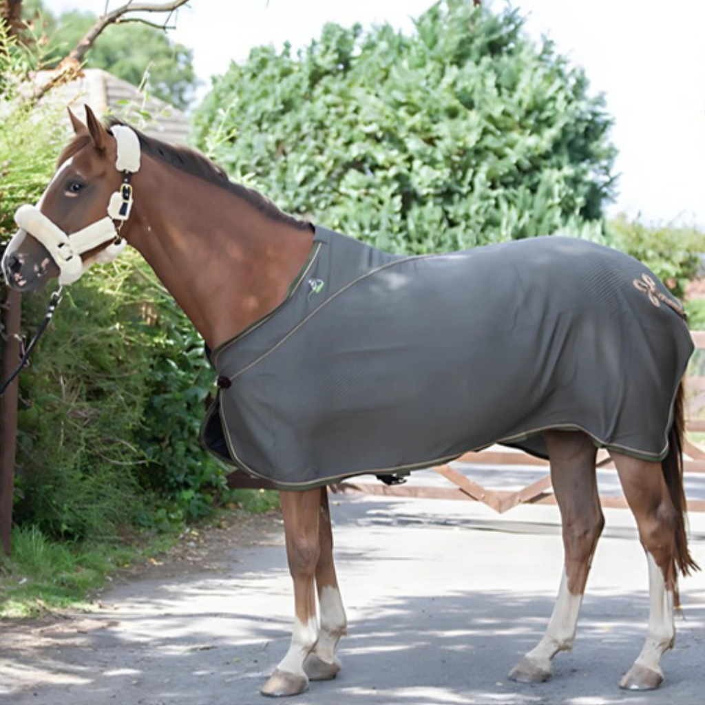 EcoRider Horsewear