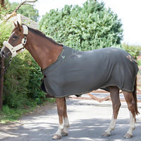 Shop Ecorider Horsewear: Premium Eco-Friendly Horse Gear