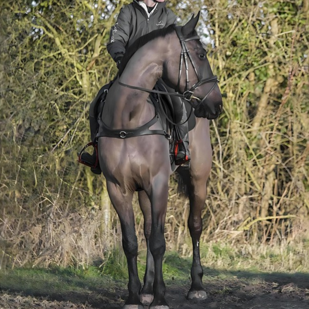 EcoRider Saddlery