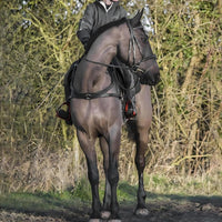Shop The Best Ecorider Saddlery – Eco-Friendly Gear For Every Rider