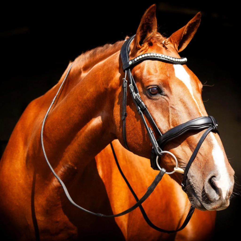 EcoRider Bridle Parts