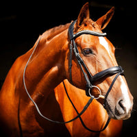 Sustainable Ecorider Bridle Parts – Upgrade Your Tack Collection Today