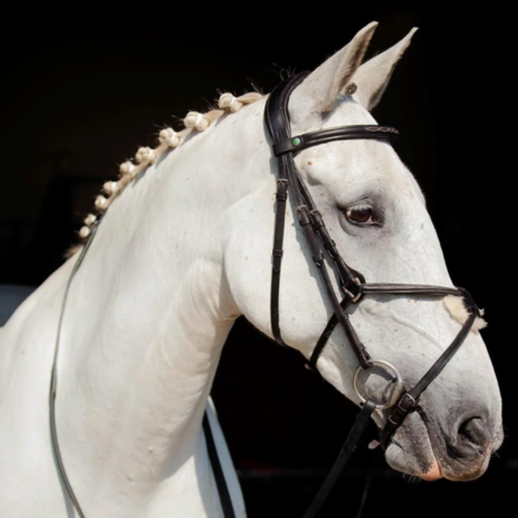 EcoRider Bridlework