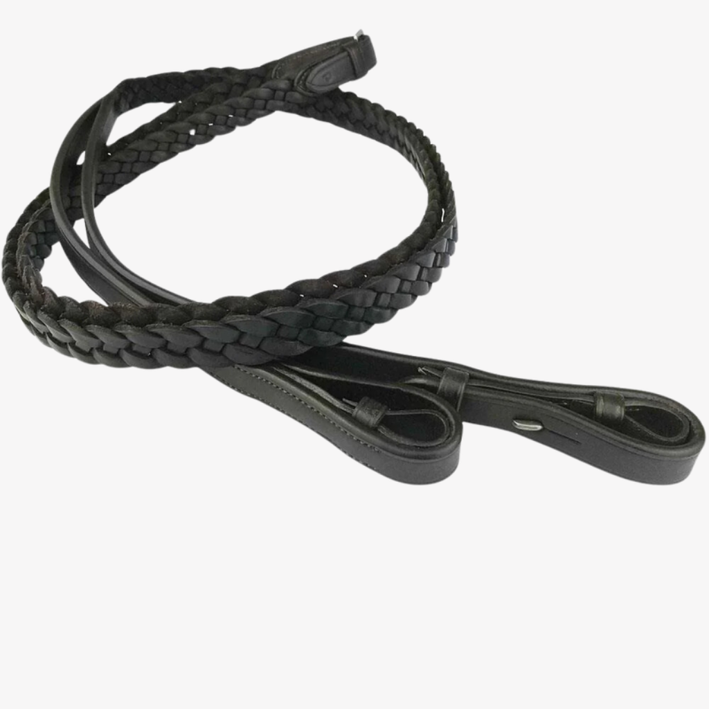 EcoRider Reins