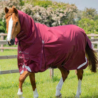 Premier Equine Rugs