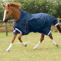 Waterproof No Fill Turnout Rugs – Premier Equine’s Top Picks
