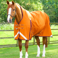 Premier Equine Mediumweight Turnout Rugs