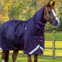 Premier Equine Heavyweight Turnout Rugs
