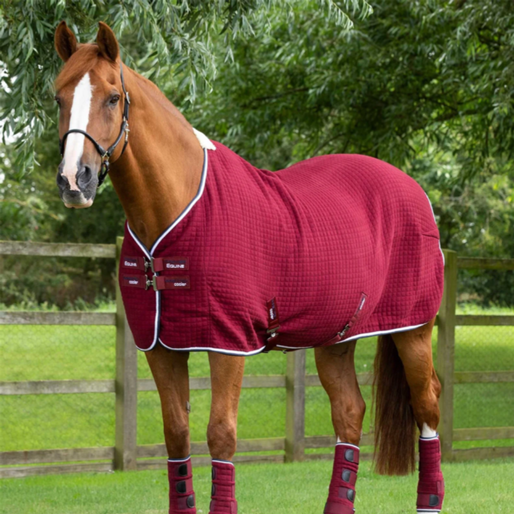 Premier Equine Cooler Rugs
