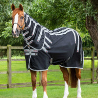 Explore Top Premier Equine Therapy Products – Get Yours Now!