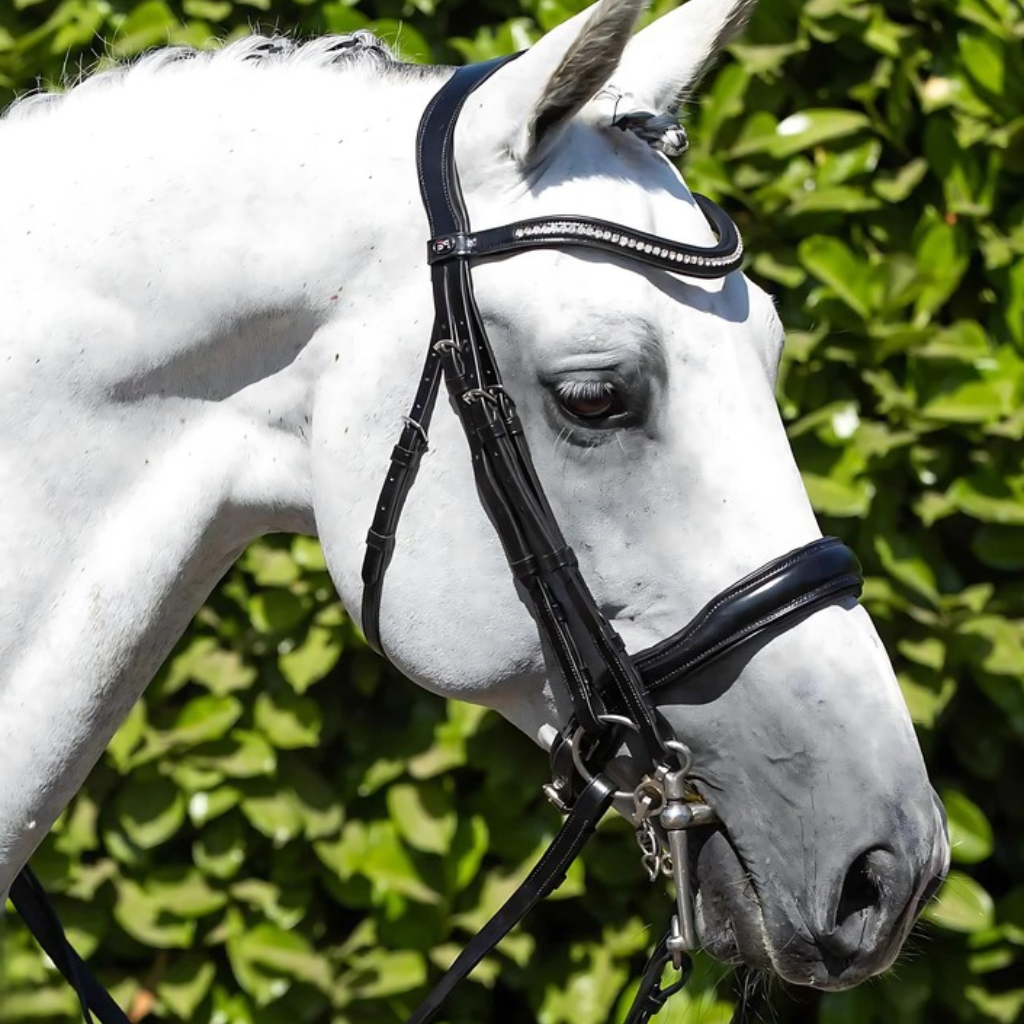 Premier Equine Saddlery