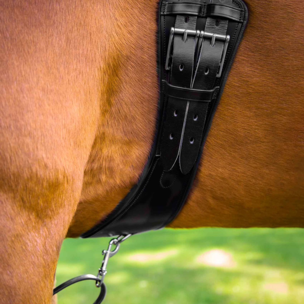 Premier Equine Girths