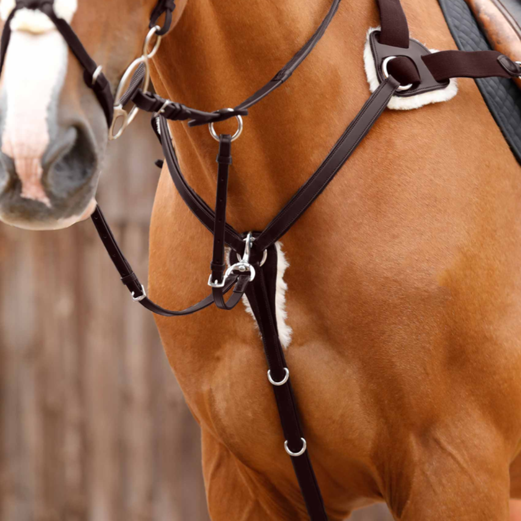 Premier Equine Breastplates & Martingales