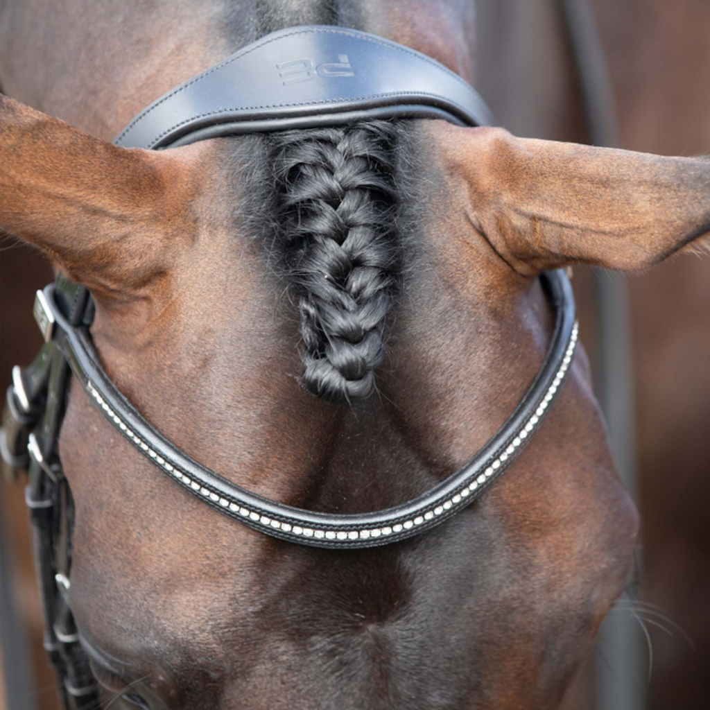 Premier Equine Bridle Parts
